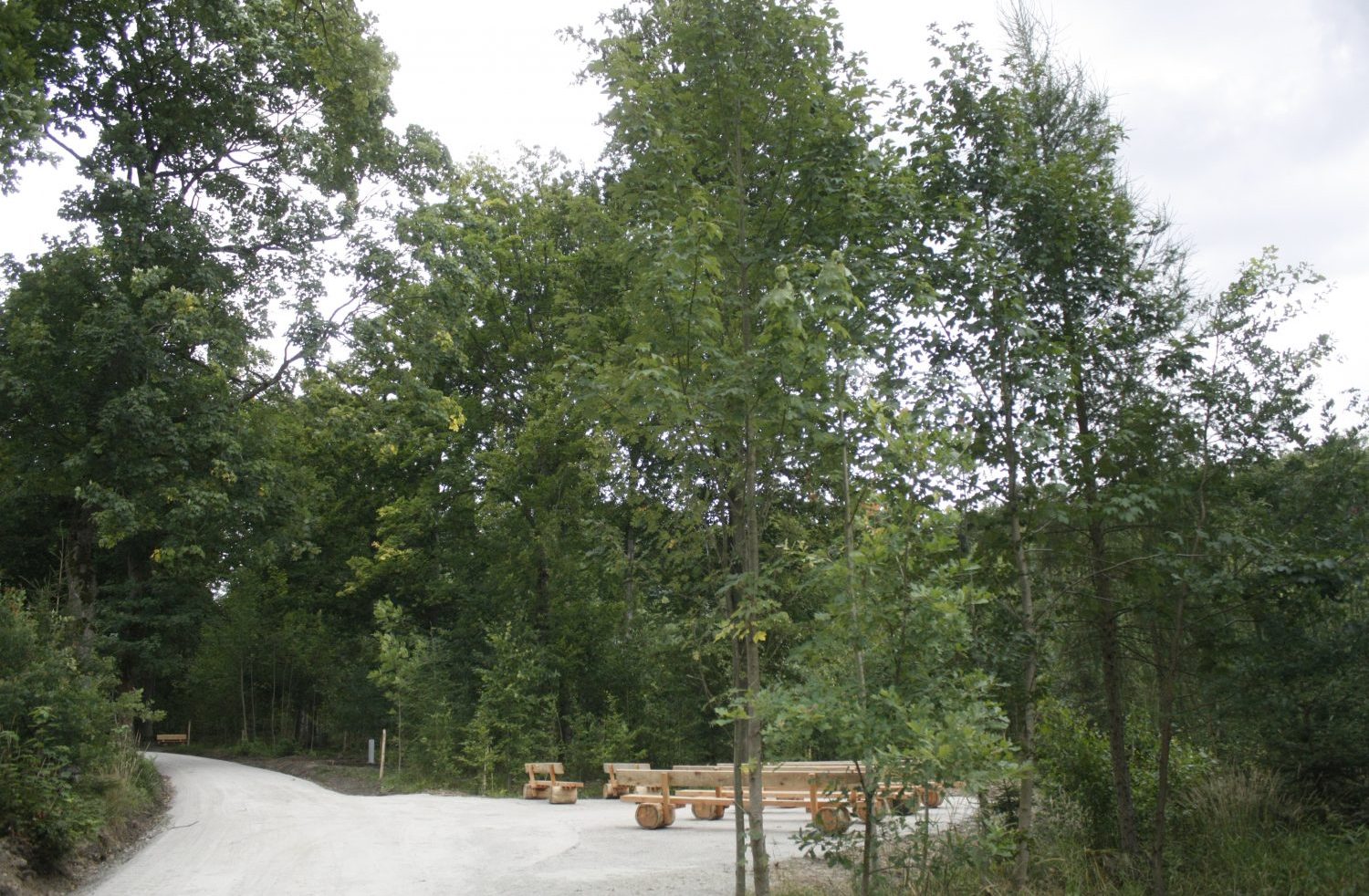 Bänke auf dem Andachtsplatz im Wald- und Naturfriedhof Saale-Orla