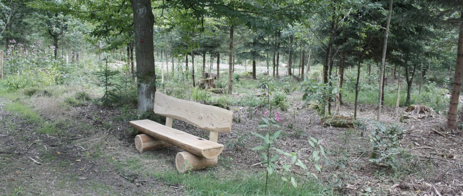 Holzbank im Wald- und Naturfriedhof Saale-Orla