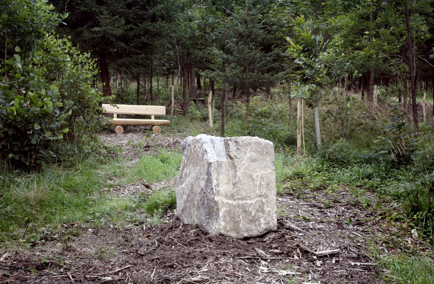Holzbank und Stein im Wald- und Naturfriedhof Saale-Orla