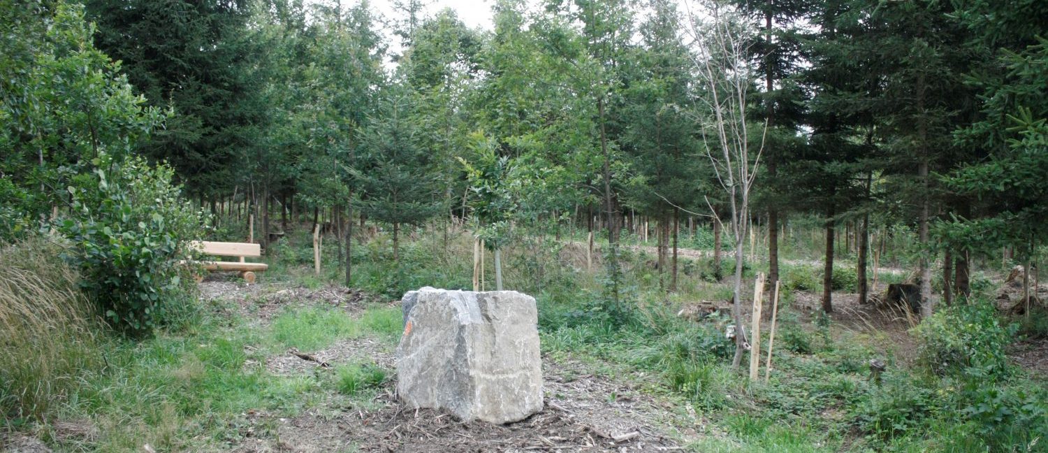 Holzbank und Stein im Beerdigungswald Saale-Orla